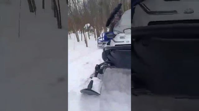 Мотобуксировщик Альбатрос и снегоход Ямаха ? смотреть онлайн