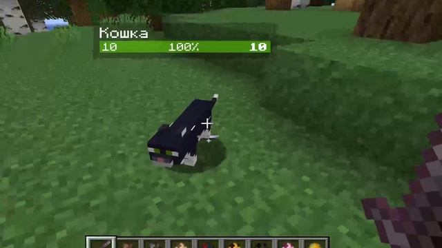 ТОПОВЫЙ МОД Neat ДЛЯ МАЙНКРАФТ ДЖАВА 1.19 смотреть онлайн