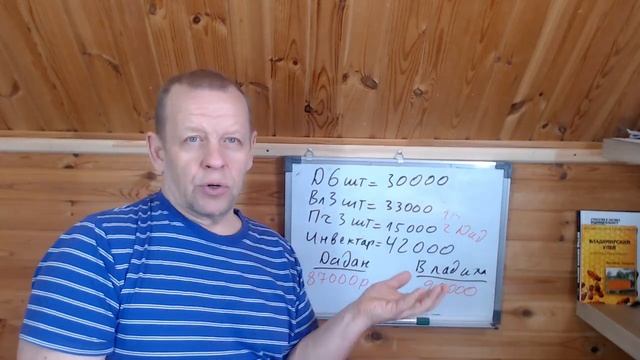 Сколько стоит пасека. Создаём с нуля. Сравнение Дадан и Владимирский улей. смотреть онлайн