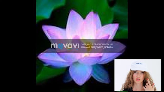 Медитация Баско Виктории Женский Свет смотреть онлайн