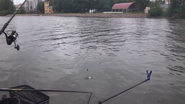 КУБОК "Невский фидер", 18-19.06.2016. смотреть онлайн