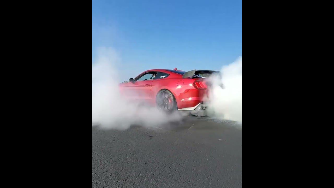 Ford Mustang GT500 Shelby «жги резину, а не землю» #автоизсша #americanauto #американавто смотреть онлайн