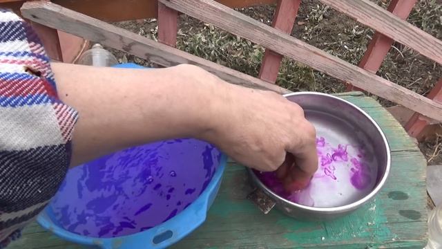 Озимый чеснок, весенняя посадка. смотреть онлайн