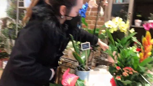 Barcelona plant tour... смотреть онлайн