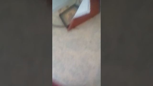 Что я делаю когда сижу дома и когда прихожу со школы!!!🏠🏫 смотреть онлайн