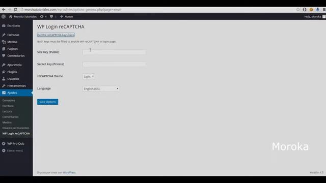 como instalar un captcha en wordpress 2017 смотреть онлайн