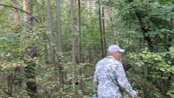 Прогулка по лесу 2