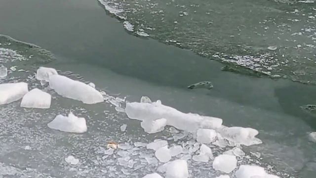 Мариуполь.Азовское море 24.01.21 смотреть онлайн
