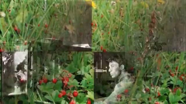 Пастернак в Ирпене смотреть онлайн