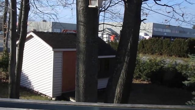 My First HD Movie with Canon PowerShot SX210 IS смотреть онлайн