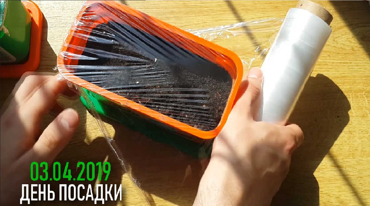 ВЫРАСТИЛ ОГОРОД НА ПОДОКОННИКЕ #эксперимент смотреть онлайн