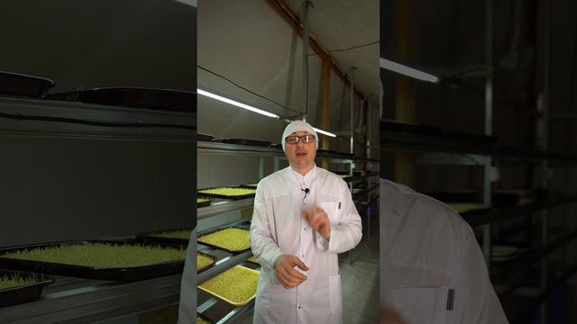 Обращение к клиентам Сочи! Доставка 15 апреля сока пшеницы ВИТГРАСС, смотреть онлайн