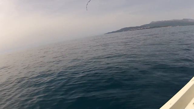 Улов Игоря Ukrainian Co-Fishing смотреть онлайн