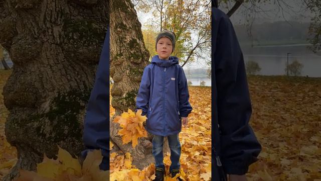 Качан М.С._Есть в осени первоначальной... смотреть онлайн