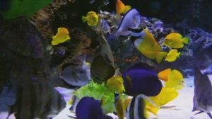 Коран Молитва Дуа от всех проблем и болезней. ризк (богатства)