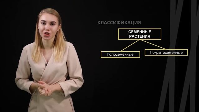 Систематика растений | Биология смотреть онлайн
