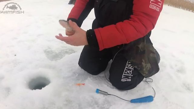 Ловля судака зимой на балансир SPRUT HIKO с эхолотом Практик. Kamfish