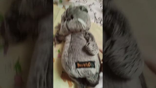 Котята приехали на дачу с хозяйкой. Если честно мне смешно где Пухля падал и не мог поднятся😅😂 смотреть онлайн