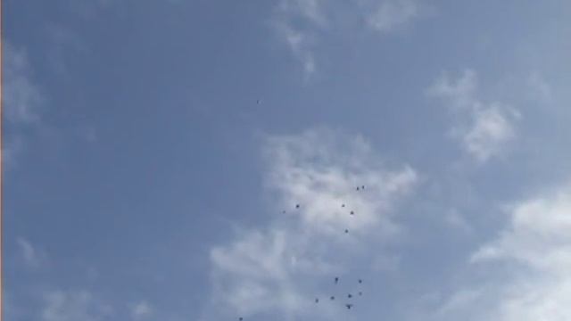 Полёт бойных голубей, достойный внимания! т.+380963871689 смотреть онлайн