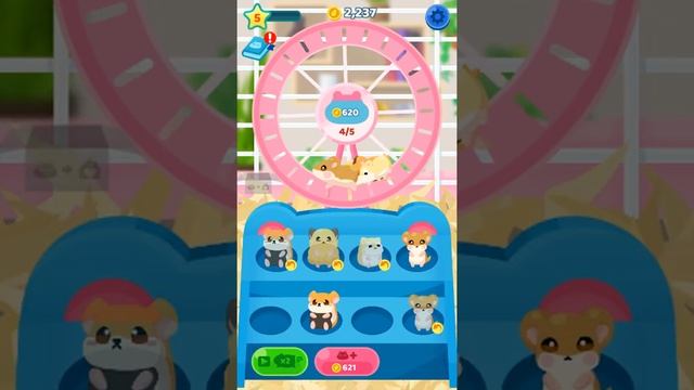 Hamster House game - all levels gameplay walkthrough - part 1 смотреть онлайн