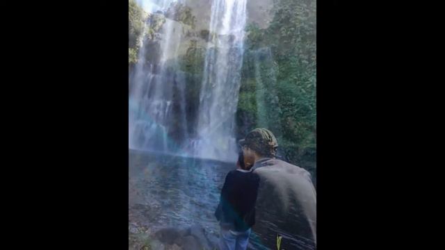 halolao coffee-BOLAVEN PLATEAU смотреть онлайн