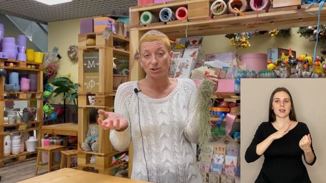 Тилландсия уснеевидная { СУРДОПЕРЕВОД } растение без горшка и почвы | Эпифит и стильная штучка смотреть онлайн