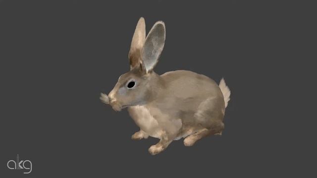 Fluffy Bunny смотреть онлайн