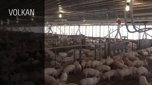 В серию запущены инсинераторы с дистанционным управлением крышки! смотреть онлайн