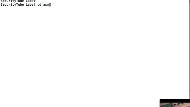 Remote Shellcode Launcher: Testing Shellcode Over A Network смотреть онлайн