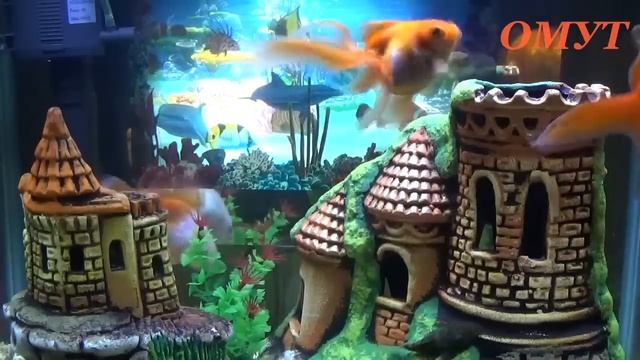 426. КАК ПРИХОДИТ ПОМОЩЬ ОТ БОГА ? смотреть онлайн