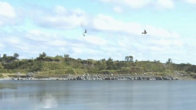 Лазерный тир. Игра Охота на уток смотреть онлайн