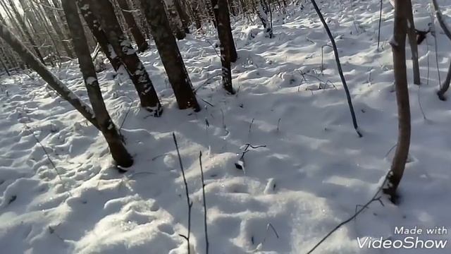 Болтшой путик. смотреть онлайн