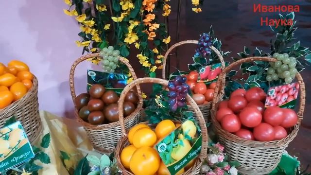 Увеличить урожай без подкормок. Это реально!! смотреть онлайн