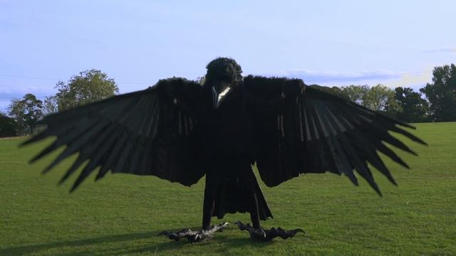 Jim's crow costume. Little Bird by Anne Lennox. Lookalike Crow Raven Costume. смотреть онлайн