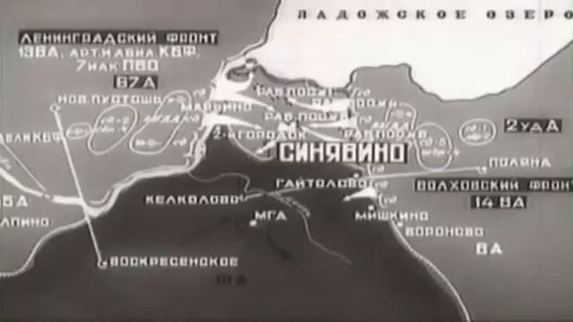 САО. Тимирязевский район. День снятия блокады города Ленинграда. Автор идеи видеофильма М.Носова. смотреть онлайн