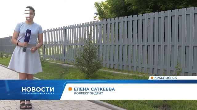 Стая бродячих псов устроила погоню за выгуливающим собаку красноярцем смотреть онлайн