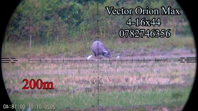 Kính Vector Orion Max 4-16x44 Có Đèn Tâm - Sự Lựa Chọn Tuyệt Vời Phân Khúc Tầm Trung смотреть онлайн