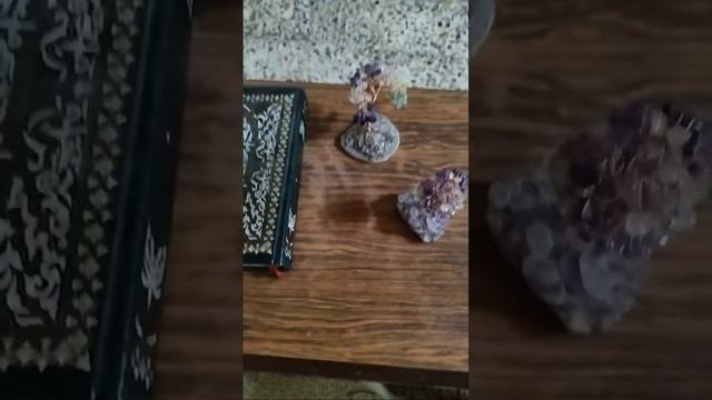 زواج الزوهري توافق بين زوهري وزوهرية وآختام زوجية وارتباطها بتعطيل حياة وزواج زوهري وعوارض ومايصيبه смотреть онлайн