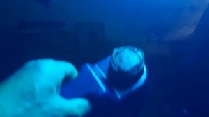 Как отличить масло LIQUI MOLY оригинал от подделки