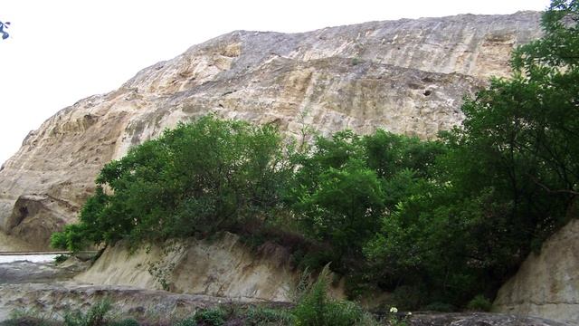 Почему существующие обезьяны не становятся человеком. смотреть онлайн