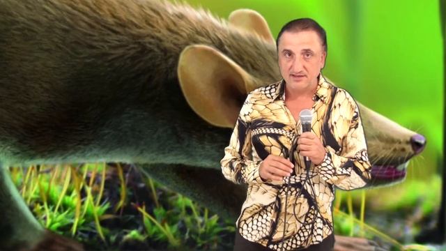 Теория Эволюции. Выводы и итоги. смотреть онлайн