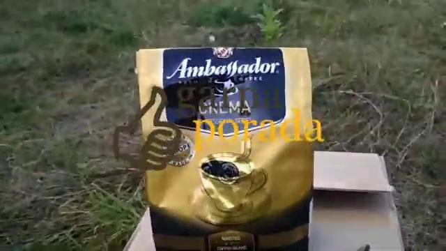 какой зерновой кофе хороший недорого и вкусный, какой купить (отзывы кофемана)