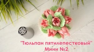 Кондитерские насадки для кремовых цветов: часть 1 | PASTILA.BY