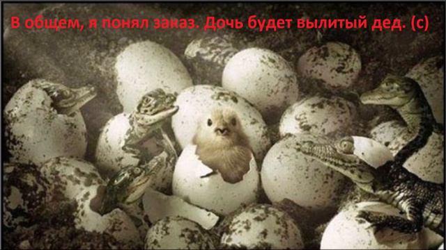 [Для новых подписчиков] "Людочка, что ты несешь" (с) или старая песня на новый лад смотреть онлайн