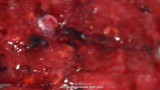 Витамины, малина, смородина, оригинальный рецепт, смотреть онлайн