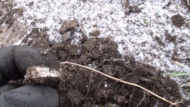 Коп на лесной распашке где стоял Хутор. Коп по картам Шуберта. смотреть онлайн