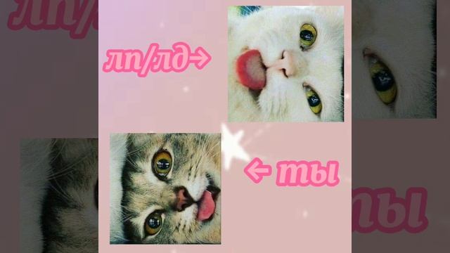 парные авы для ЛП/ЛД {КОТИКИ} смотреть онлайн