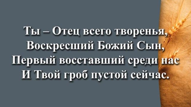 Иду в твое присуствие смотреть онлайн
