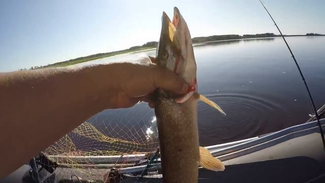 ОПЯТЬ ТРОФЕЙ, ЛОВЛЯ ЩУКИ, НИЖНЕВАРТОВСКИЙ РАЙОН смотреть онлайн