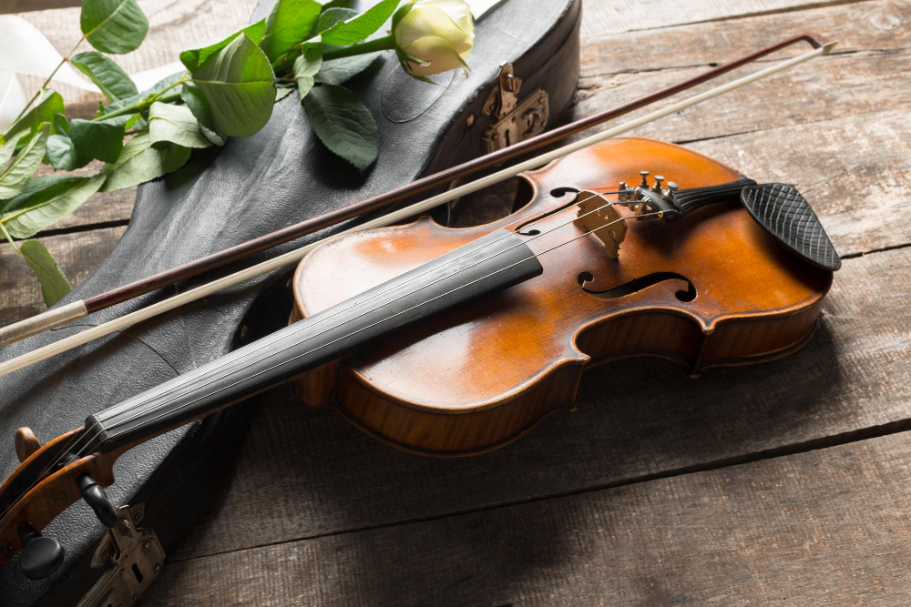 Indila - Dernière Danse (Amadeus - Violin Cover Instrumental)